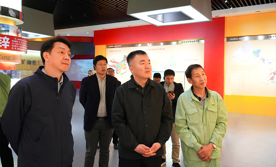 10.4-2024年04月，自然資源部礦保司副司長(zhǎng)王博蒞臨公司調(diào)研。.jpg