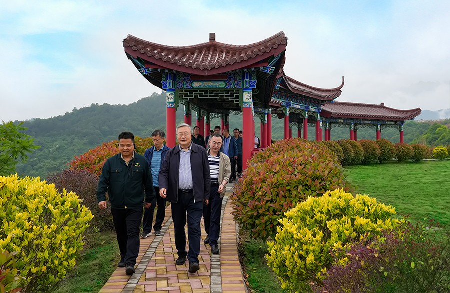49-2022年5月，省工信廳副廳長(zhǎng)王海峰一行蒞臨金徽股份調(diào)研綠色礦山建設(shè)工作。.jpg
