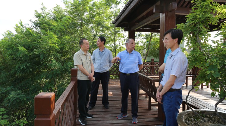 省政協生態(tài)環(huán)境治理工作調研組蒞臨金徽股份調研